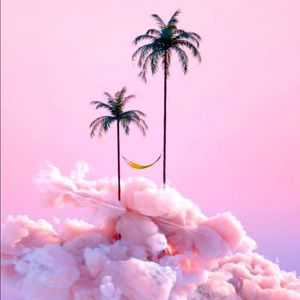 Meet your Posher, Charlotte